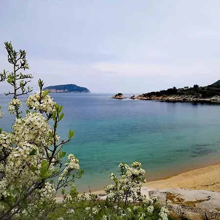 Iraklitsa
